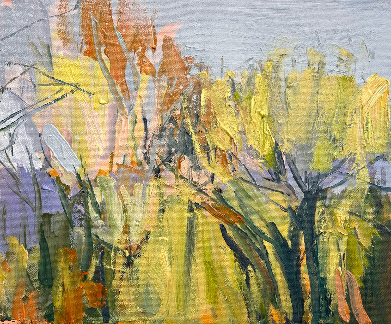 'Autumn Yellow', oil on canvas,.25cm x 30cm,£670