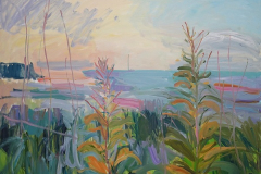 Lisa Ballard