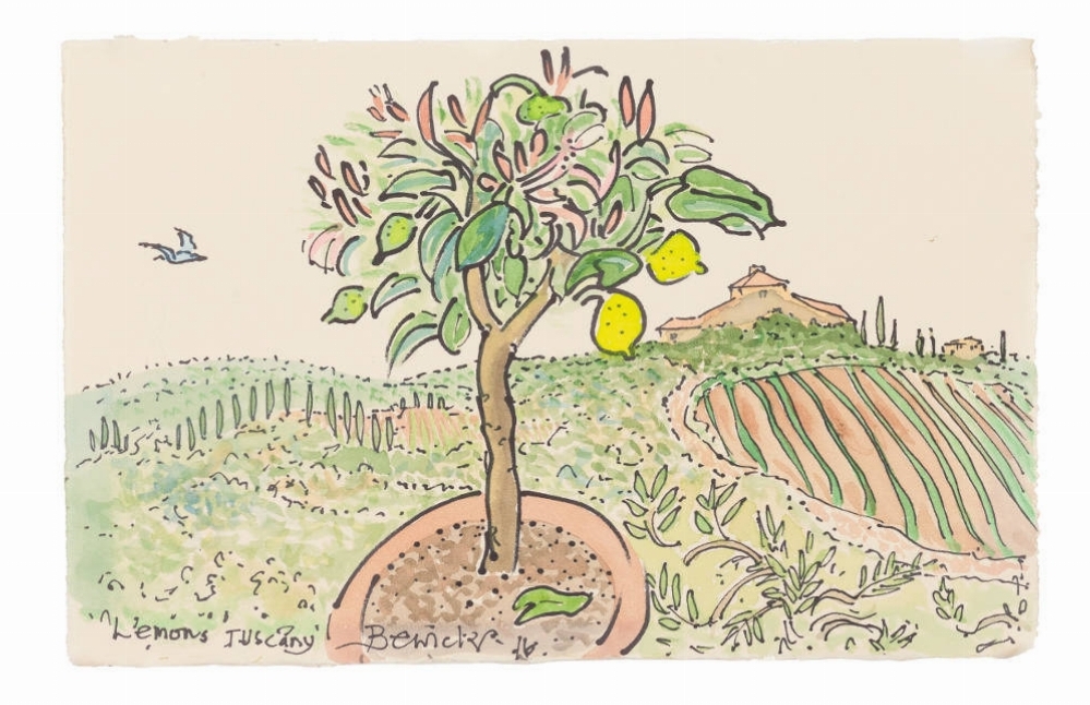'Lemons Tuscany' 2016 Watercolour 36cm x 43cm - £1,600