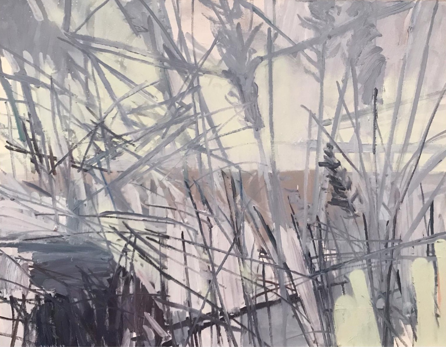 'Winter Grasses', oil on canvas, 71cm x 92cm, £2000